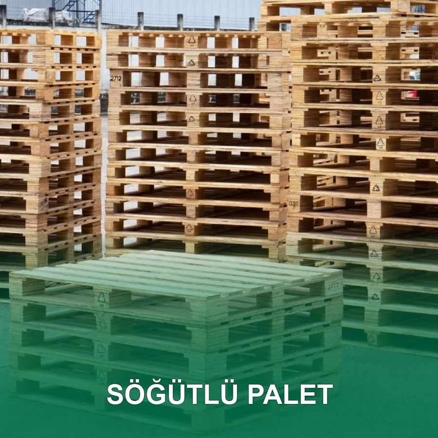Söğütlü Palet