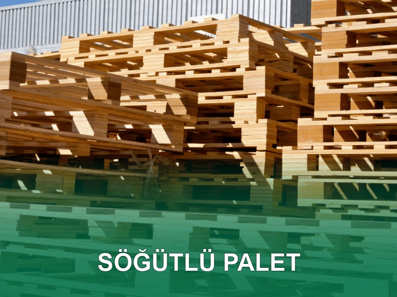 Söğütlü Palet Galeri 1