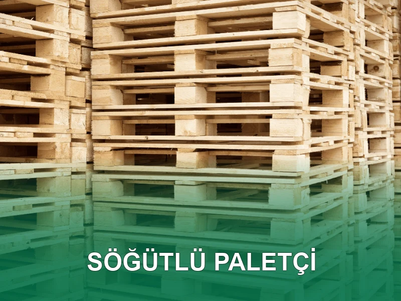 Söğütlü Palet Galeri 2