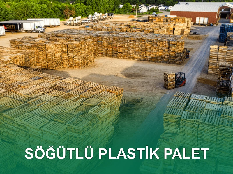 Söğütlü Palet Galeri 6