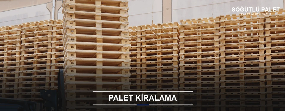 Söğütlü Aylık Palet Kiralama